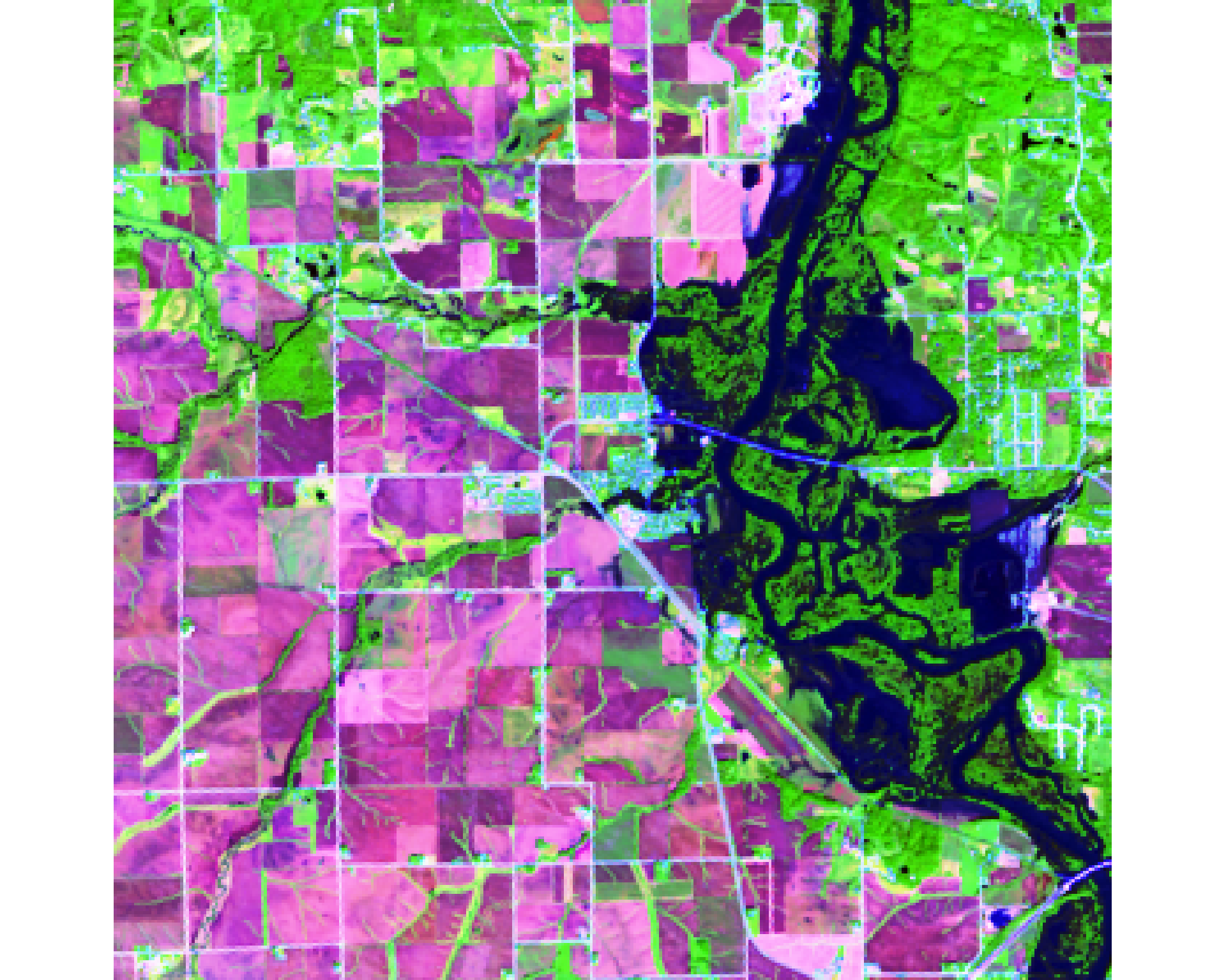 **Figure 4:** (6, 5, 2) False color for agriculture with a histogram color stretch. In this bandwith agricultural crops appear as a vibrant green, non-crop vegetation appears in a dull green, and bare earth appears in fuchsia.